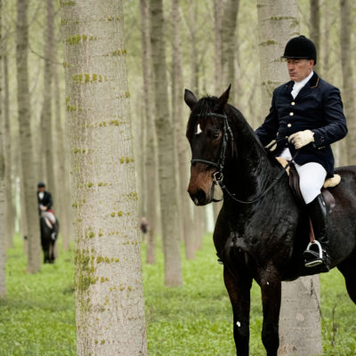 Field Horseman Waiting in a Poplar Grove