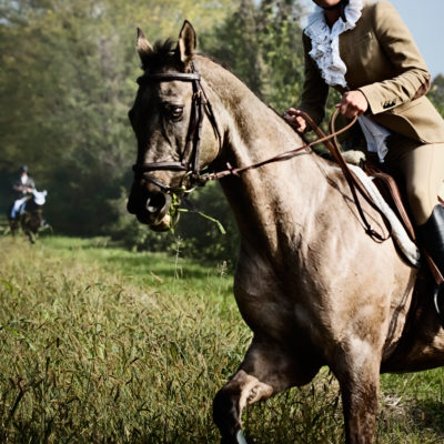 Field Horses and Horsemen when Hunting in the Friulian Plain
